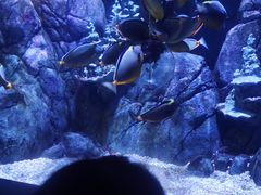 -成都浩海立方海洋公园