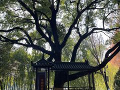 -包公祠