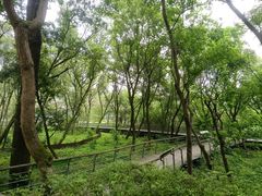 -西湖风景区-江洋畈生态公园