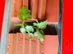 -谭鸭血老火锅(漳州路店)