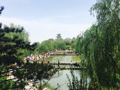 -兰山公园