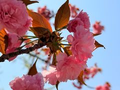 -上海大自然野生昆虫馆(东方明珠·爬宠昆虫探索中心)