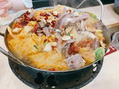 百家一品辣锅-百家鸡味馆(清泰店)