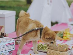 -云漫湖生态度假公园