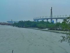 景点-宝安西湾红树林湿地公园