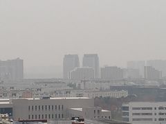 -黑皮牛杂面(金融港路店)