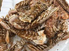 椒盐皮皮虾-聚德福海鲜家常菜(刘庄店)