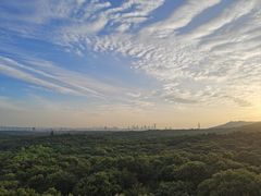 -灵谷景区