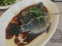 清蒸红宝石斑-岭南海晏楼(东晓南店)