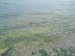 -抚仙湖禄充风景区