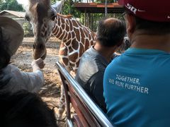 -清迈夜间动物园