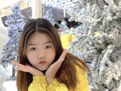-世界之窗阿尔卑斯冰雪世界