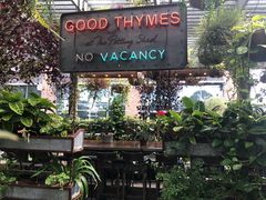 -The Grounds of Alexandria