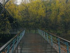 -西湖风景区-江洋畈生态公园