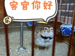 -老白肉馆(临江小区店)