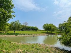 -西山漾湿地公园