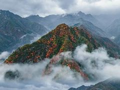-终南山国家森林公园