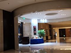 -新都绿城喜来登酒店大堂吧
