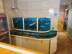 -天正河鲀·河豚亭(大连店)