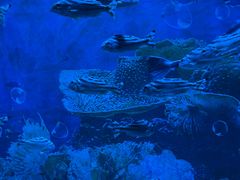 -海合安成都极地海洋公园