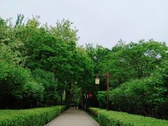 -古塔公园
