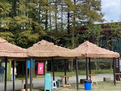 -山王坪喀斯特国家生态公园