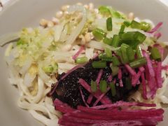 -大鸭梨烤鸭店(花园村店)