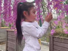-苏州海洋馆