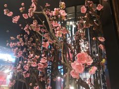 桃花-老板恋上鱼(印象城店)