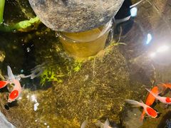 -阜昌典当行(阜成门店)