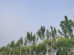 -Riverside河畔少儿足球培训(前滩店)