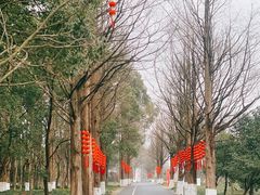-良渚古城遗址公园