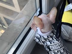 -喵zoo家庭繁育猫舍(尖东智能花园店)