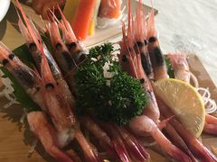 甜虾-禅猫日本料理