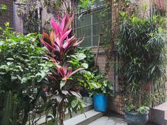 -小洲村