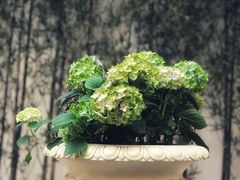 -利顺德大饭店·维多利亚花园(小白楼店)