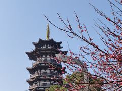 -洋湖国家湿地公园