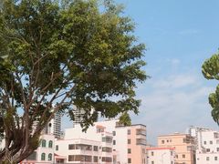 -霞涌市场海鲜摆卖区