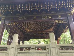 -汇龙潭