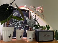 -本無咖啡·BeanWood Coffee