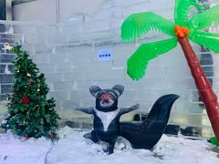 -宁波冰雪大世界(北仑区)