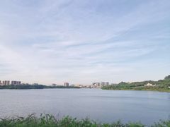 -立新湖公园
