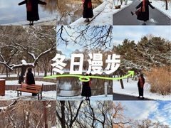 -北陵公园