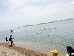 -海驴岛(荣成市)