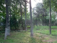 -中家鑫园温泉酒店鑫悦汤泉