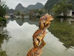 -靖西鹅泉风景区