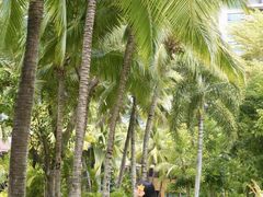 -三亚湾海居铂尔曼度假酒店