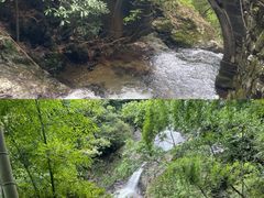 -东天目山风景区