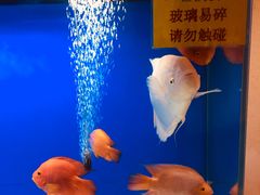 -宁海食府(大剧院店)