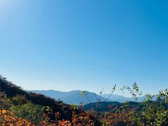 -北京西山国家森林公园